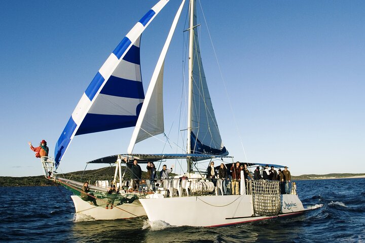 Port Stephens 3 Hour Whale and Dolphin Watch Cruise