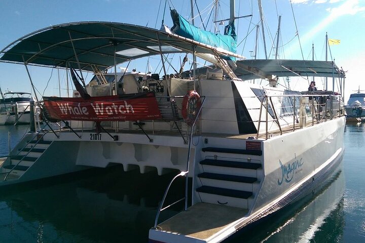 Port Stephens 3 Hour Whale and Dolphin Watch Cruise