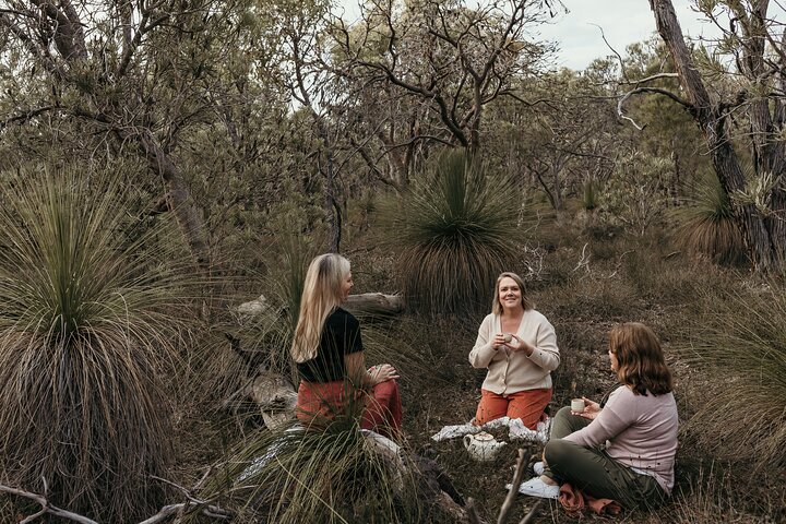 3 Hour Forest Therapy at Kings Park and Botanic Garden