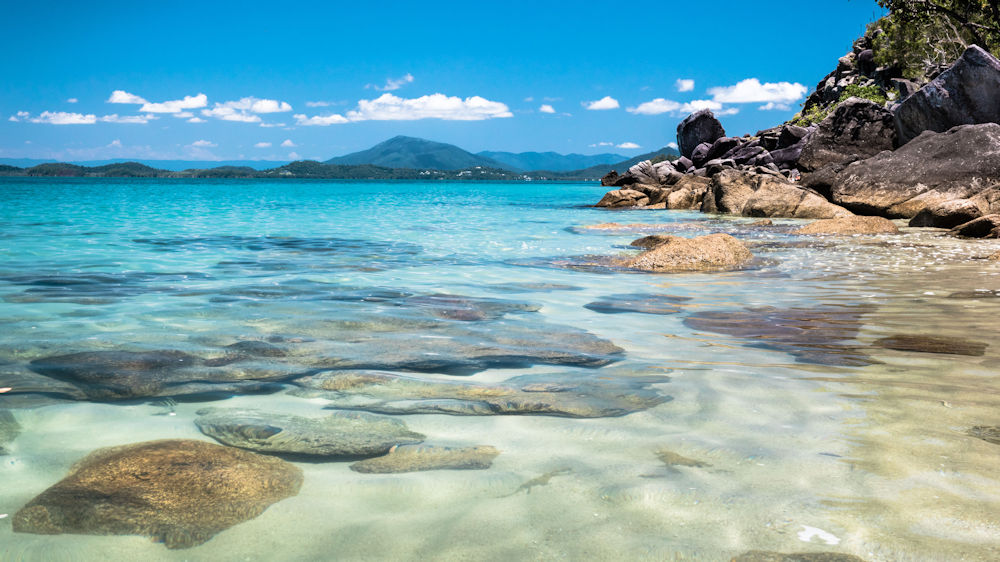 Dunk Island Day Return | Tuesday | 8.30am