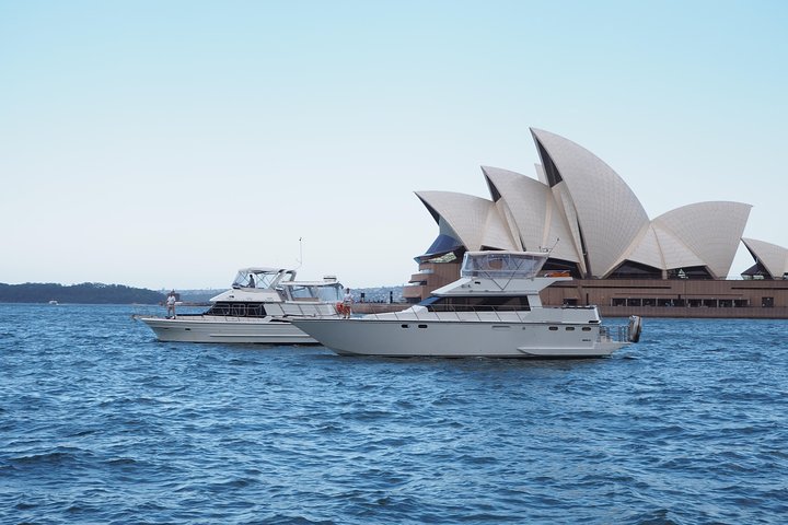 Small-Group Sydney Harbour Morning Tea Cruise