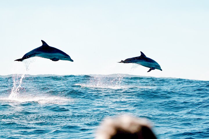 Premier Snorkeling in Byron Bay