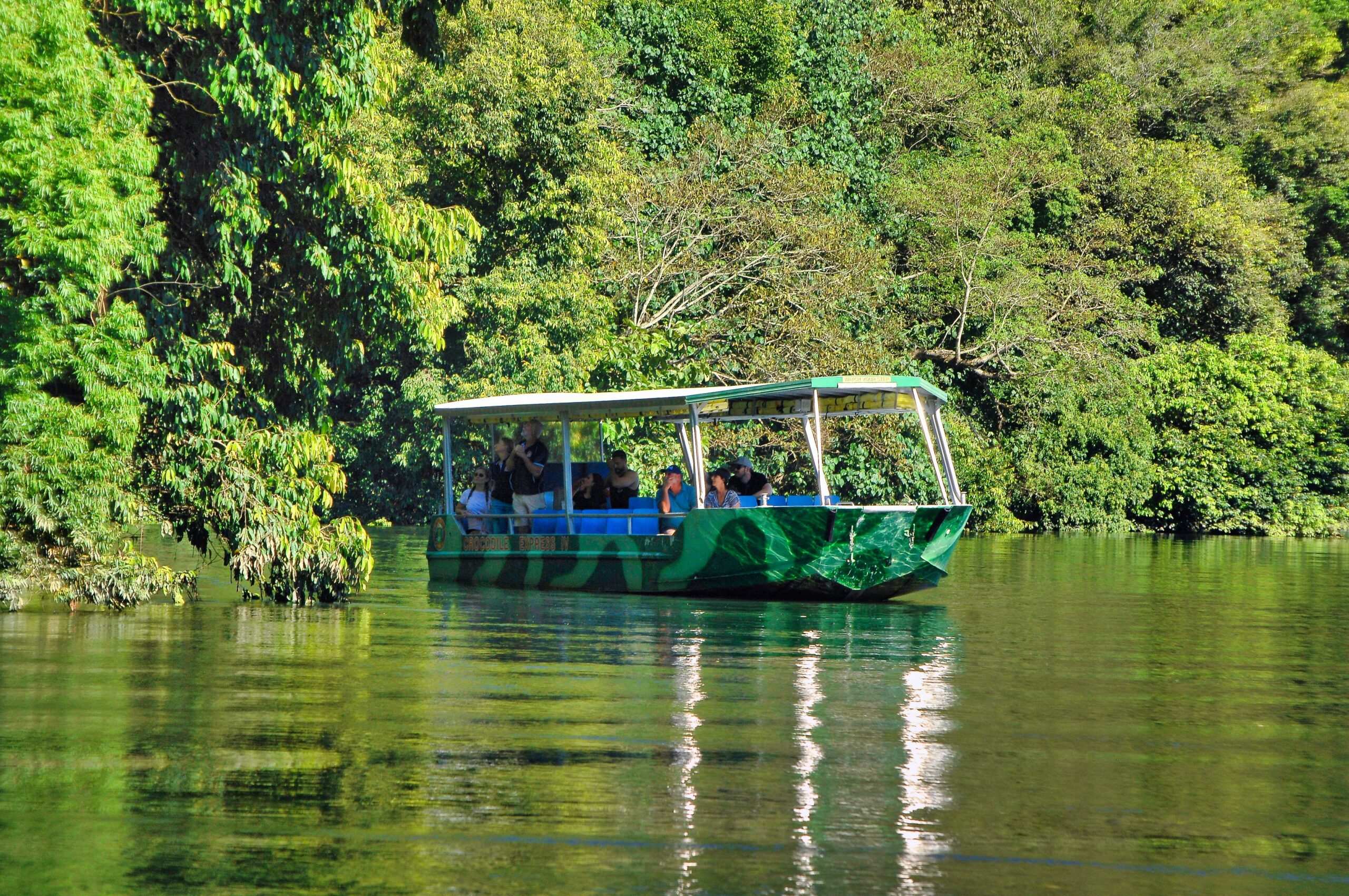 daintree rainforest croc cruise