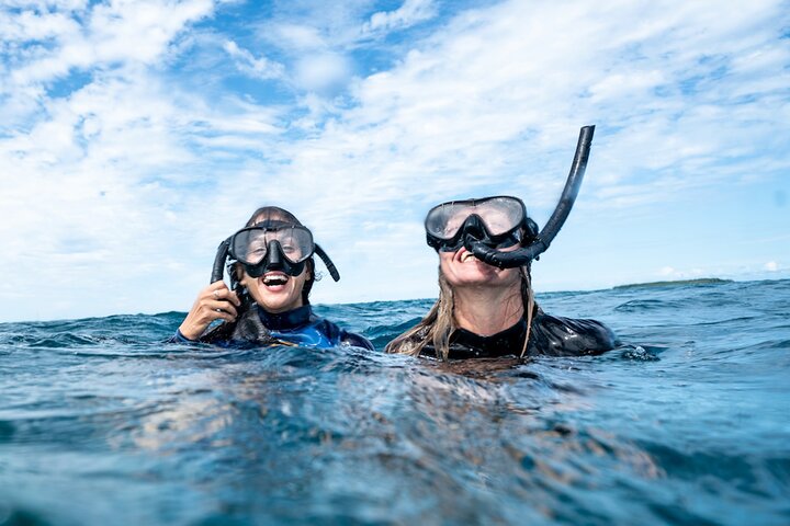 Premier Snorkeling in Byron Bay