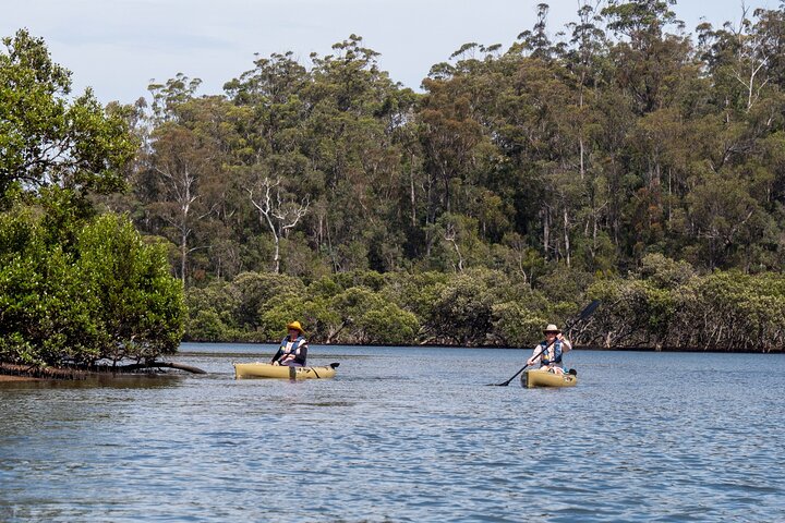 Bermagui River Kayak Tour