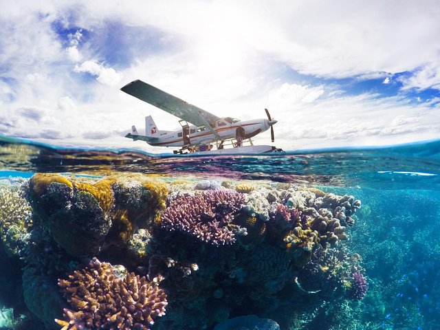 Panorama: the Ultimate seaplane tour - Great Barrier Reef & Whitehaven Beach