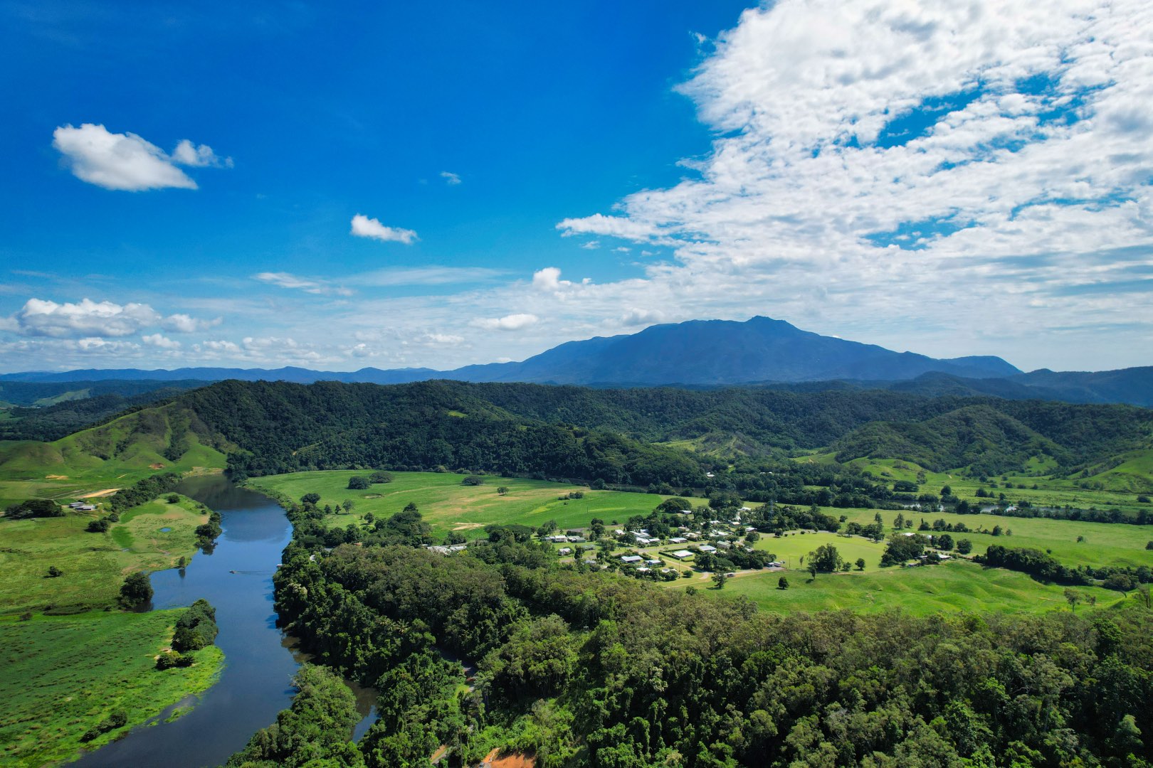 Crocodile Express Daintree Rainforest Wildlife Cruise