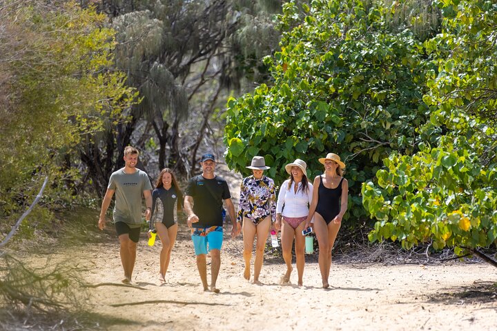 2 Hours Dolphin Kayaking & Snorkeling Tour on the Broadwater