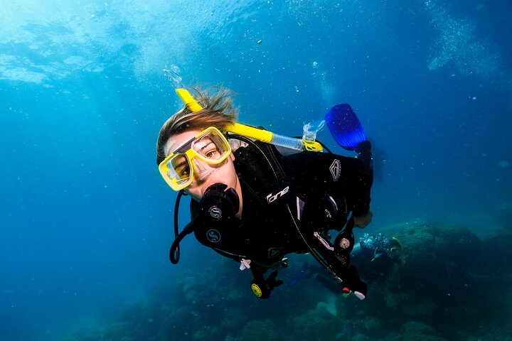 Premium Guided Dive Trip - Outer Great Barrier Reef