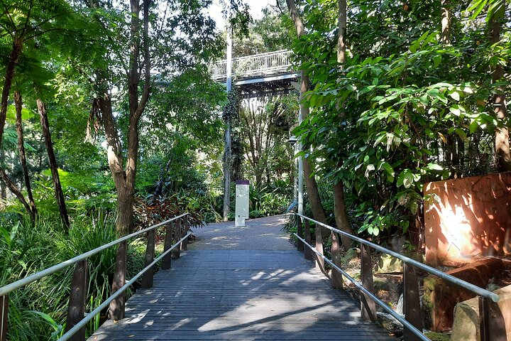 Green Tour of Brisbane's Prettiest Parks, Gardens and Suburbs
