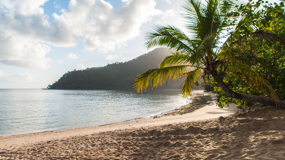 Dunk Island Day Return | Tuesday | 8.30am