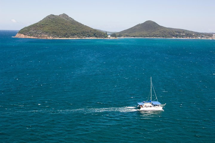 Dolphin Watch + Sailing - Port Stephens