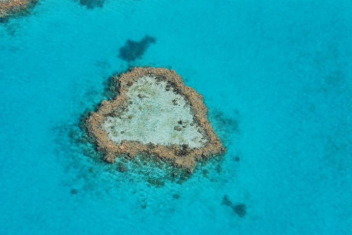 Panorama: the Ultimate seaplane tour - Great Barrier Reef & Whitehaven Beach