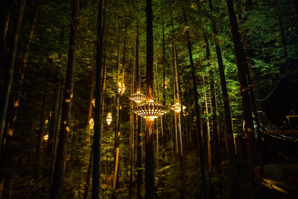 inspiring-journeys-redwoods-treewalk-rotorua-LR