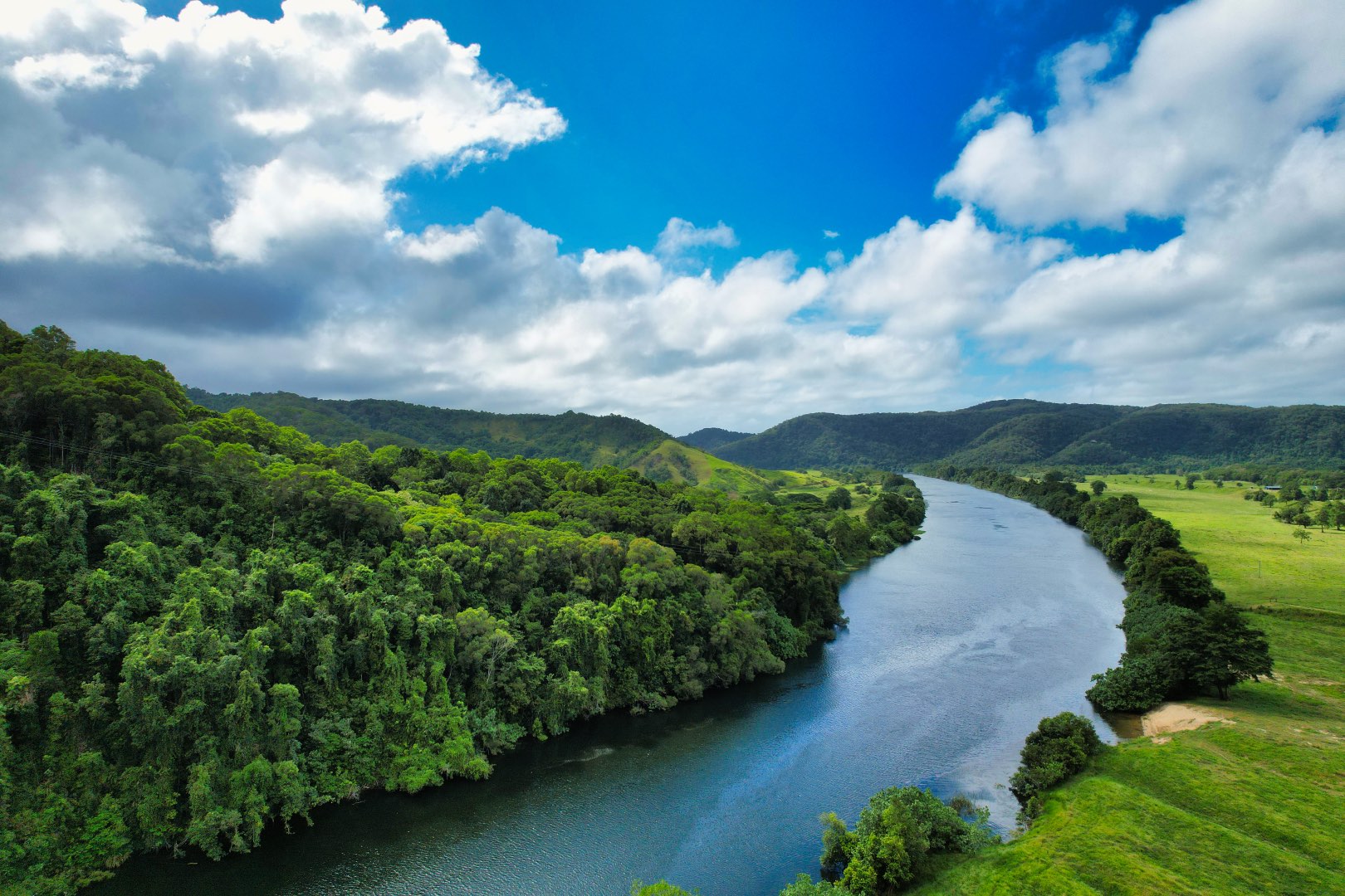 Crocodile Express Daintree Rainforest Wildlife Cruise