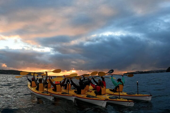 Beautiful Middle Harbour Sunriser / Guided Kayaking Private Tour