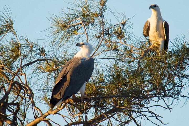 Sunset River Cruise on the Murchison River (November to May)