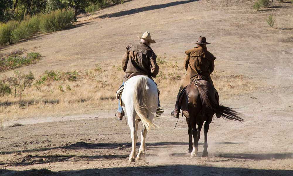 Yarra Valley Horse Trail Ride with Wine Tasting - 2.5 Hours