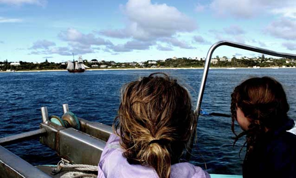 Mornington Peninsula Dolphin Sightseeing Cruise