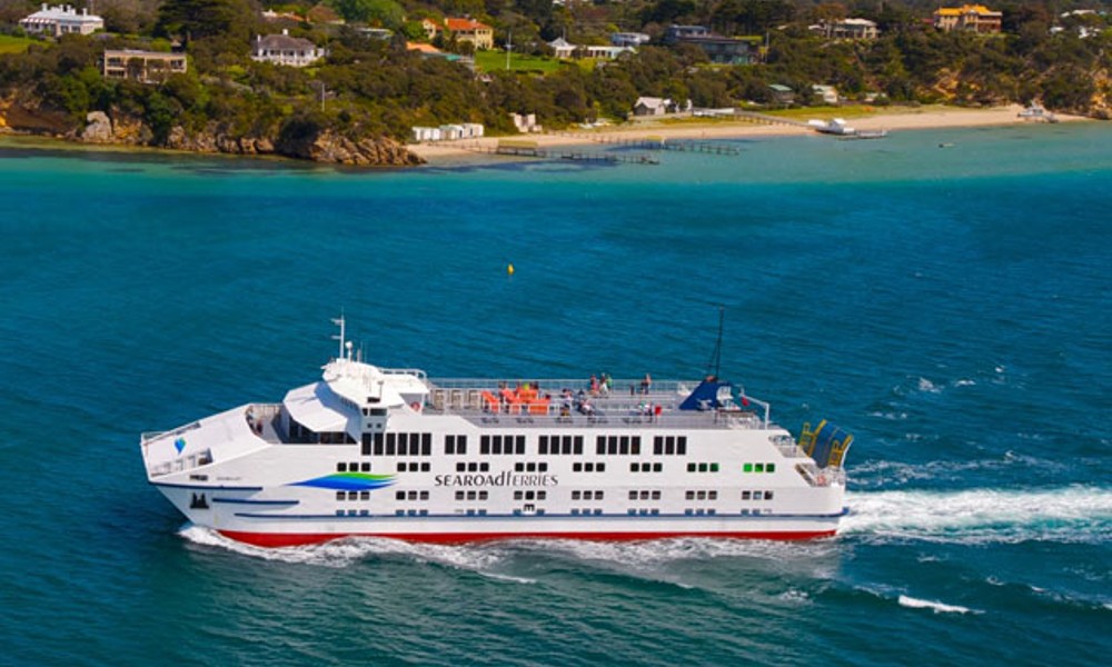 Mornington Peninsula Dolphin Sightseeing Cruise