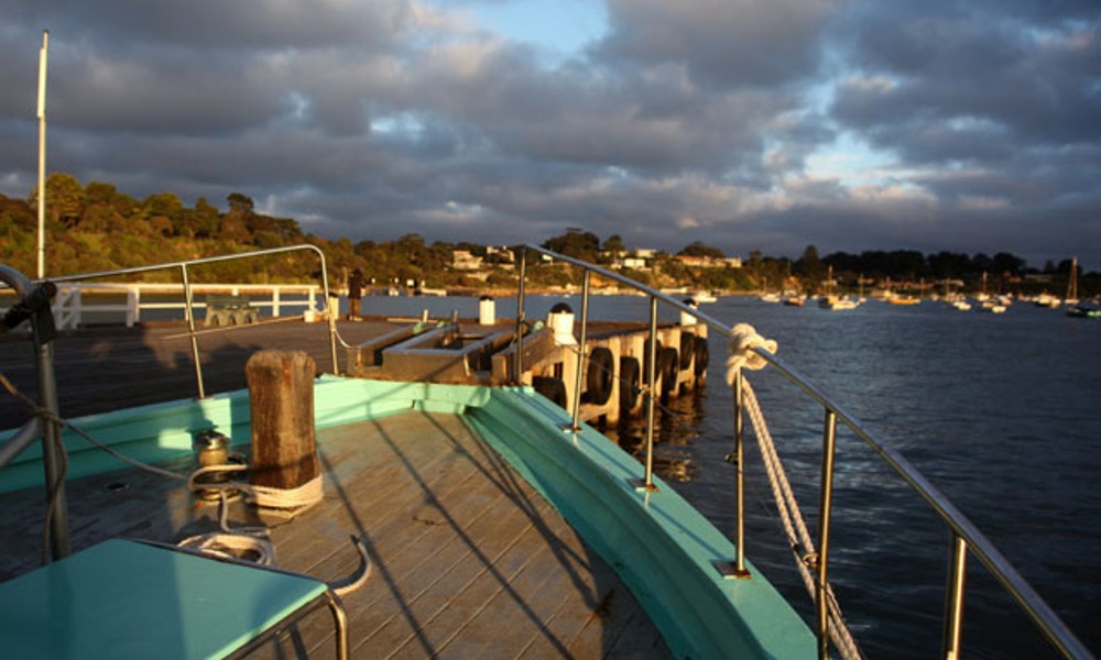 Mornington Peninsula Dolphin Sightseeing Cruise