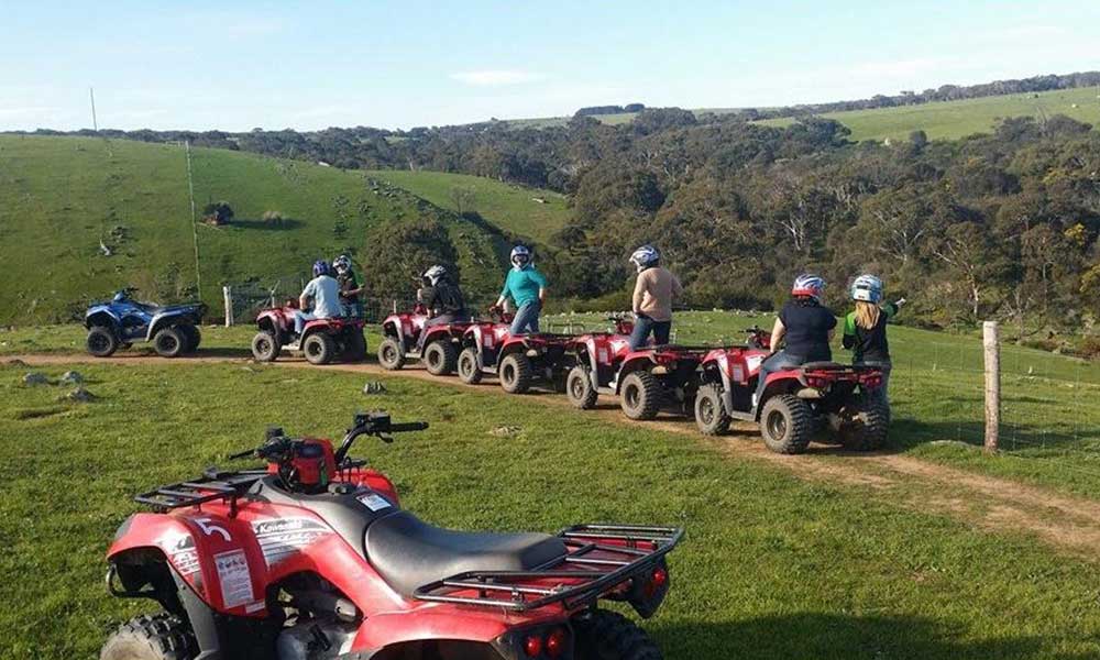 Waitpinga Farm Scenic ATV Quad Bike Tour - 60 Minutes