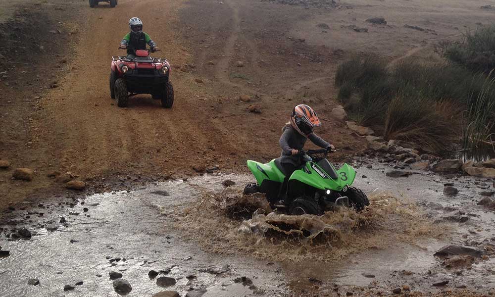 Waitpinga Farm ATV Adventure Tour - 75 Minutes