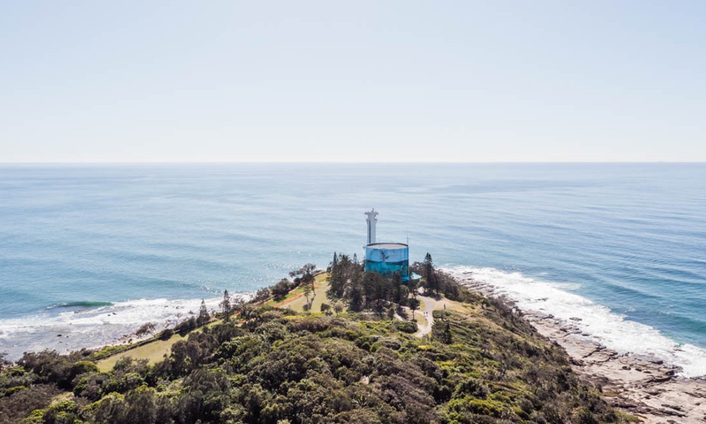 Mooloolaba Turtle Tour - 1.5 Hours