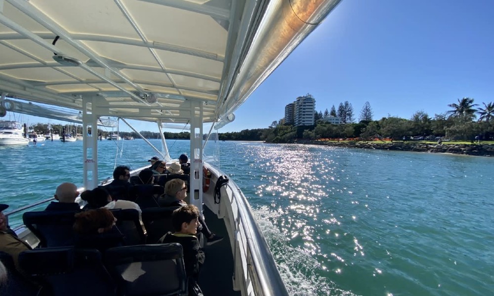 Mooloolaba Turtle Tour - 1.5 Hours