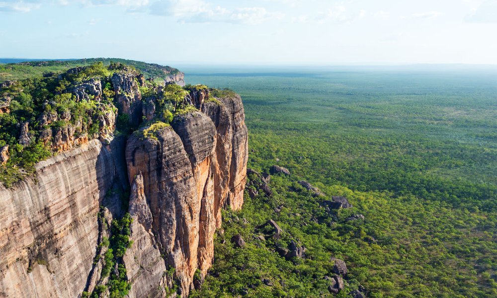 Kakadu Day Trip with Return Scenic Flights