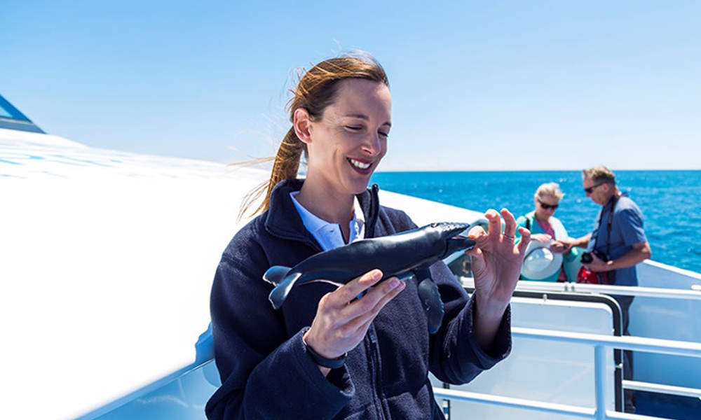 Fremantle Scenic Whale Watching Cruise - 2 Hours