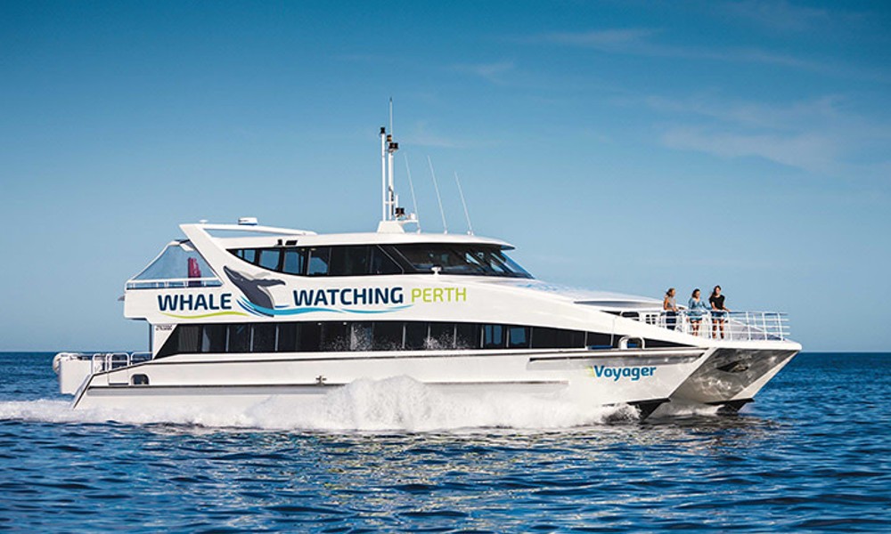 Fremantle Scenic Whale Watching Cruise - 2 Hours