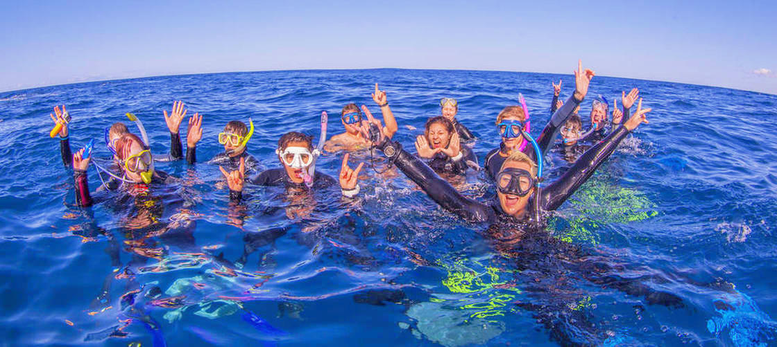 Swim with the Whales Tour from Mooloolaba