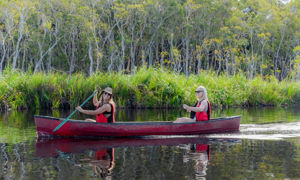 Noosa Everglades Explorer Cruise – 5 Hours