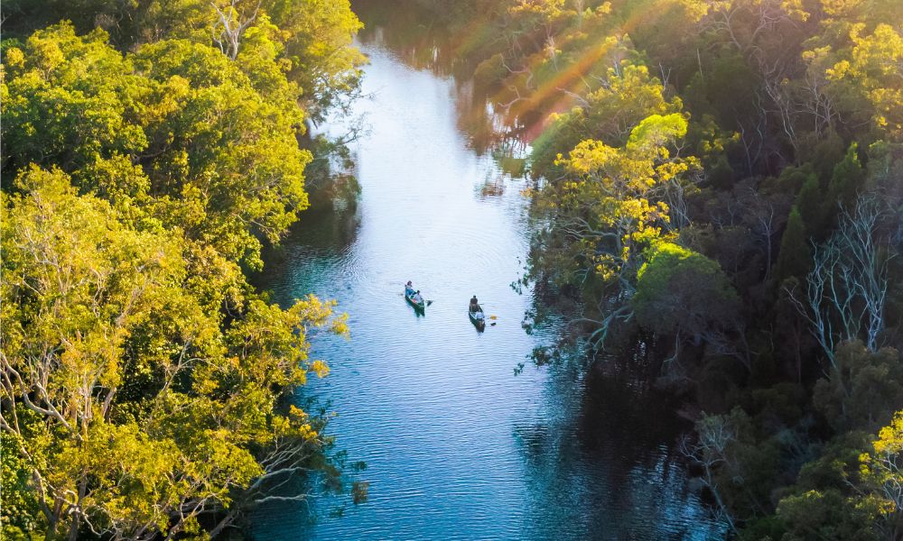 Noosa Everglades Explorer Cruise - 5 Hours