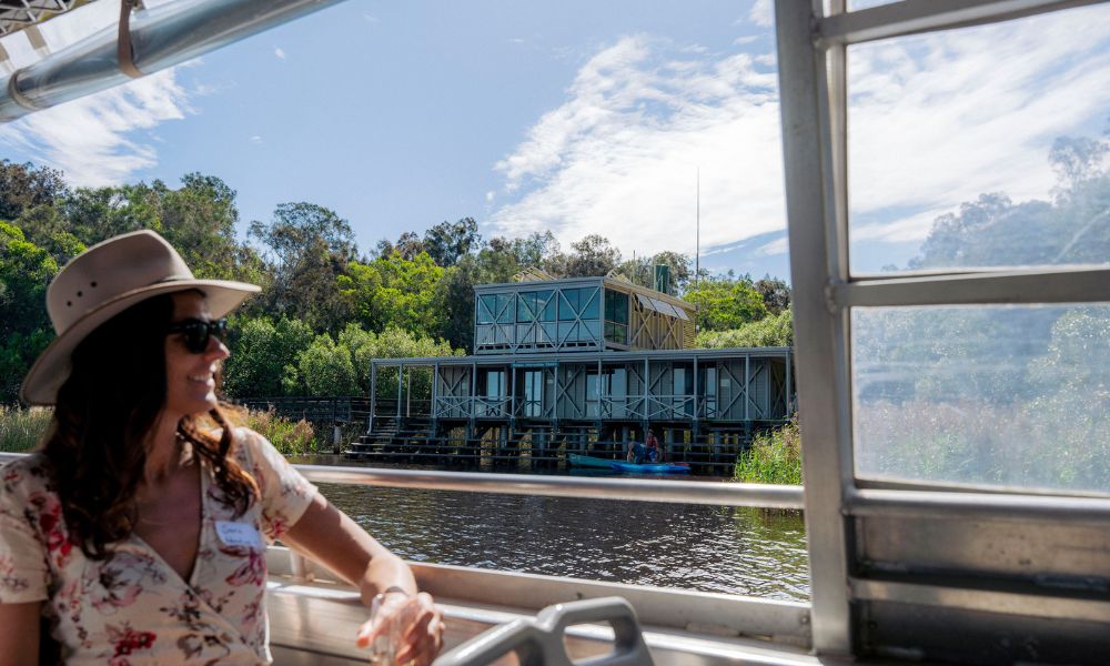 Noosa Everglades Explorer Cruise - 5 Hours