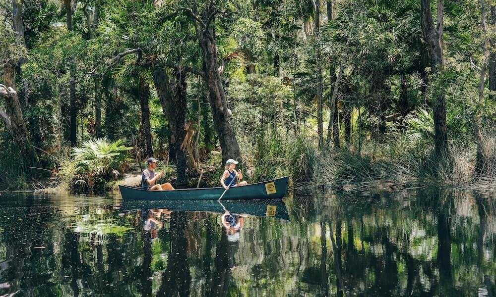 Noosa Everglades Explorer Cruise - 5 Hours