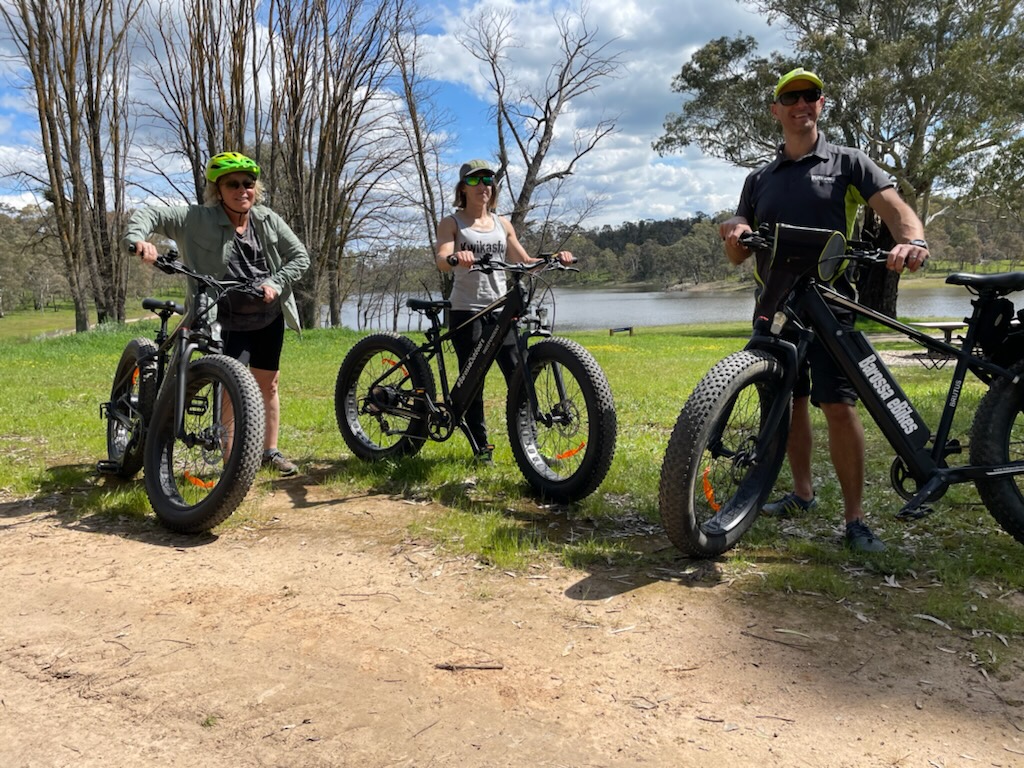 Barossa eBikes - Hire Only