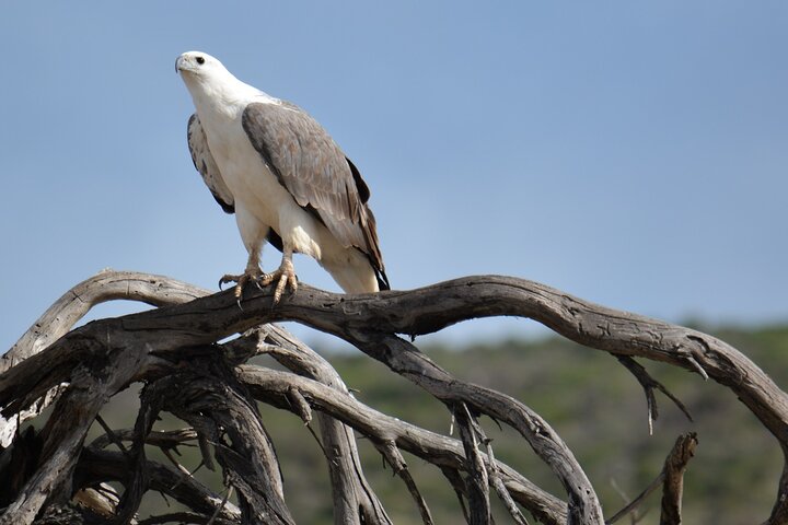 Sunset River Cruise on the Murchison River (November to May)