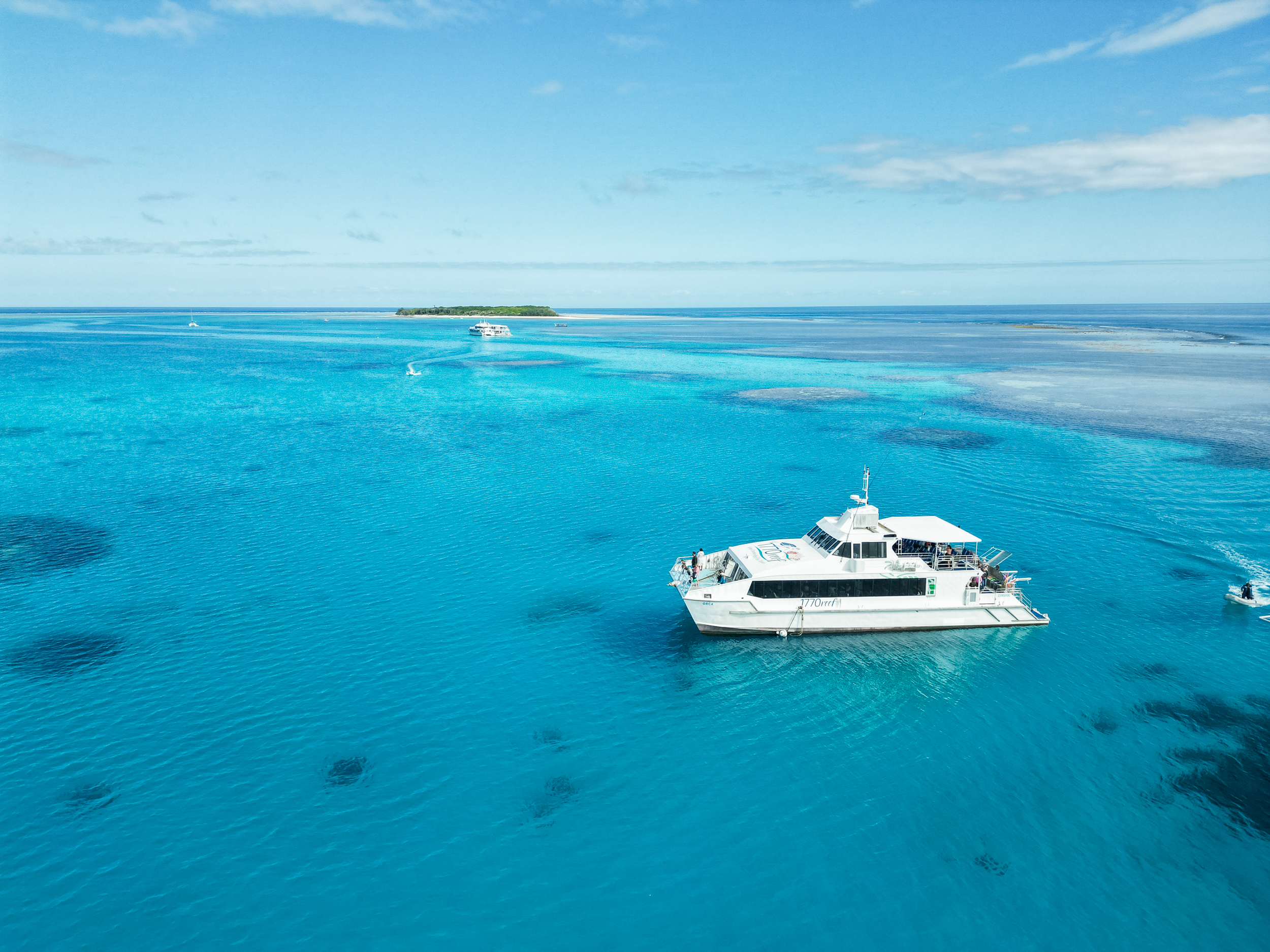 Day Tour to Lady Musgrave Island