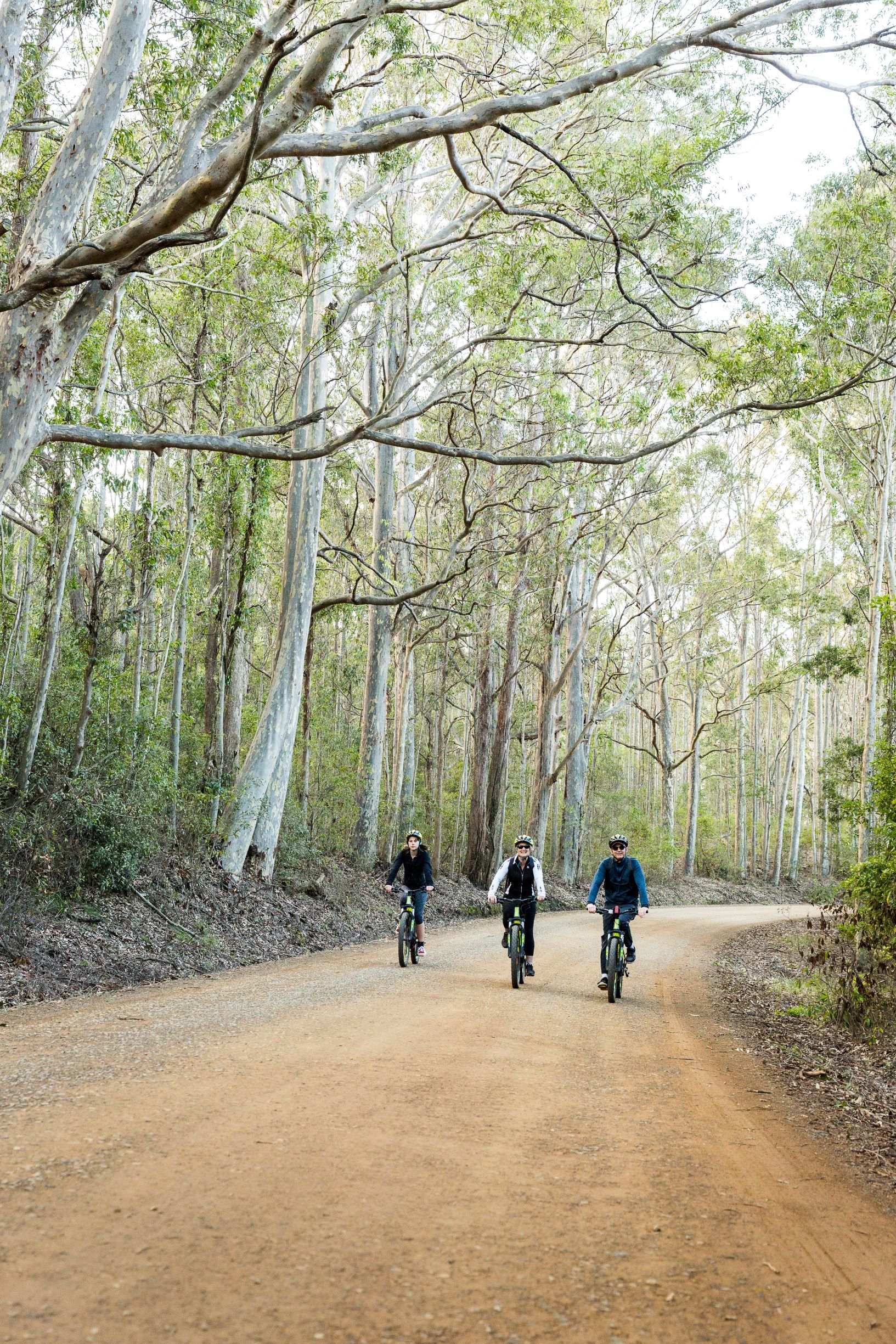 Discover Tilba by Electric Bike - 2 Day 2 Night Self Guided Cycle Tour - Departs and Returns from Narooma