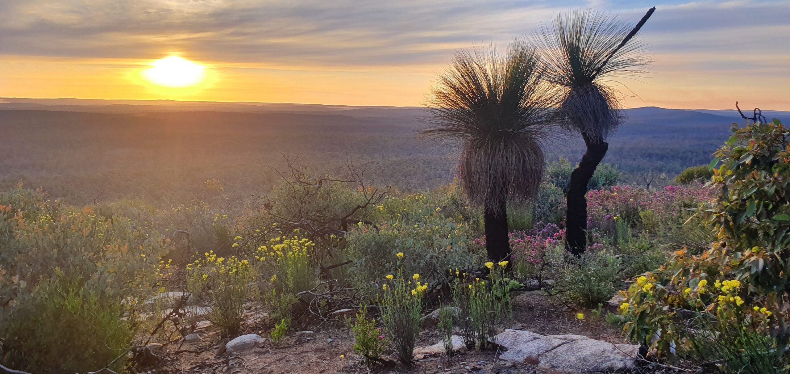 Sunset & Stargazing Hike