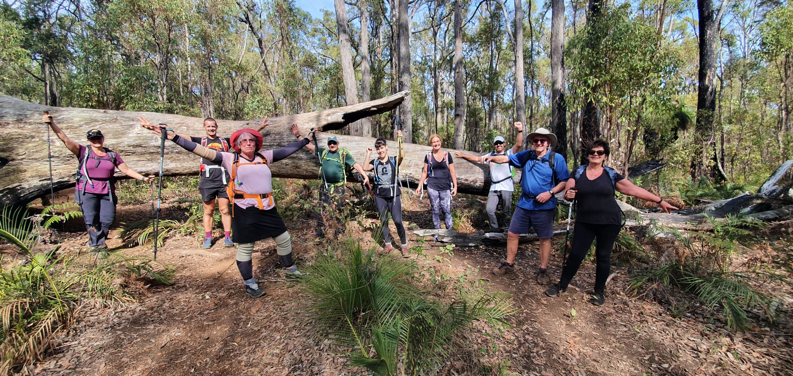 Jarrahdale | Hike, Wine & Dine Experience