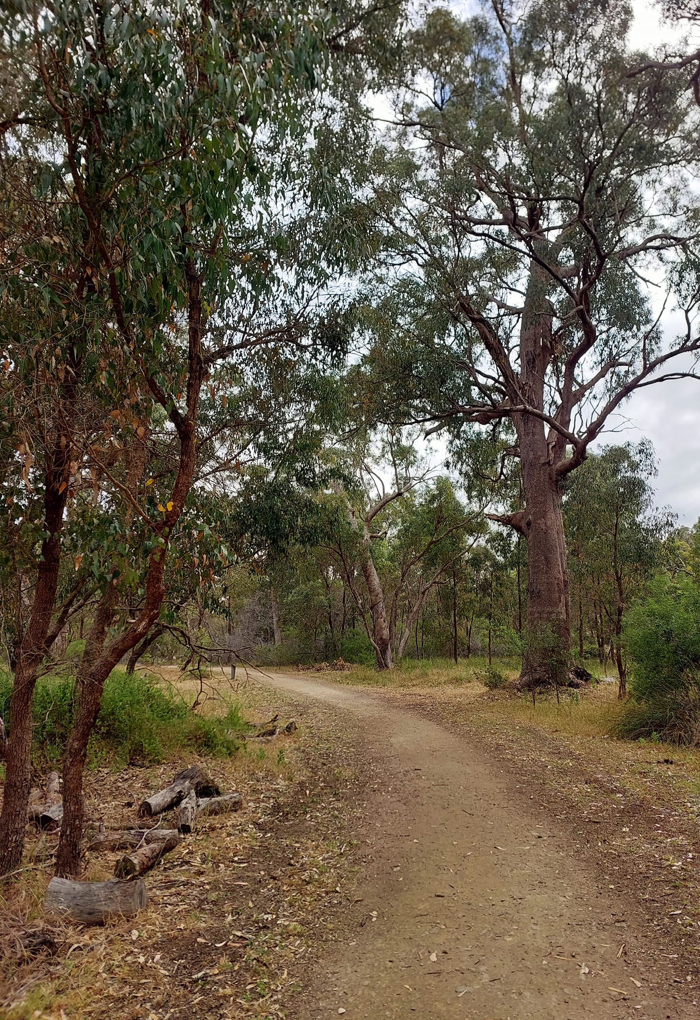 GIANTS OF MANDURAH TOUR