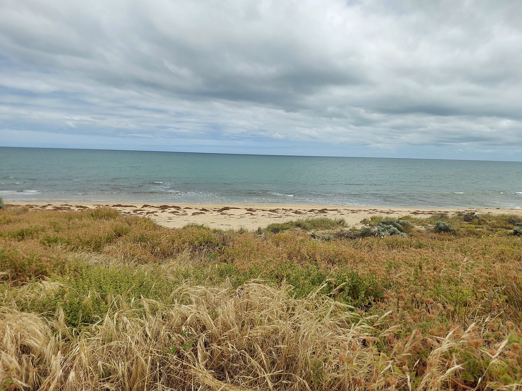 GIANTS OF MANDURAH TOUR