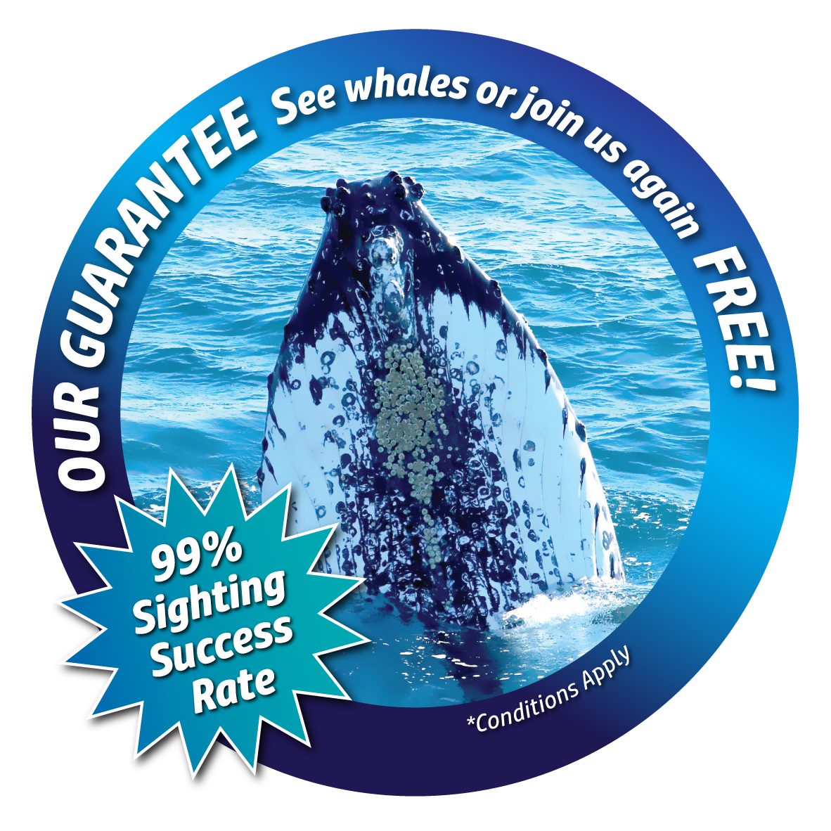 Augusta Whale Watching Eco Tours