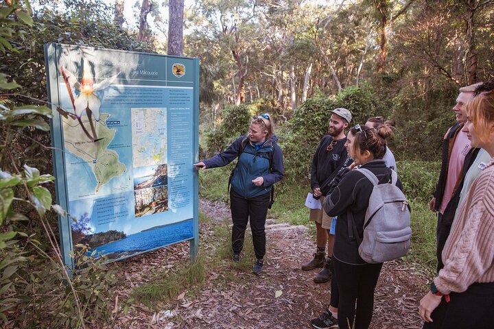 Lake Cruise and Nature Walk in Lake Macquarie