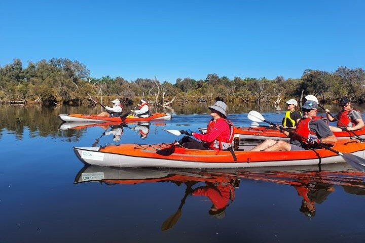 Lake Cruise and Nature Walk in Lake Macquarie