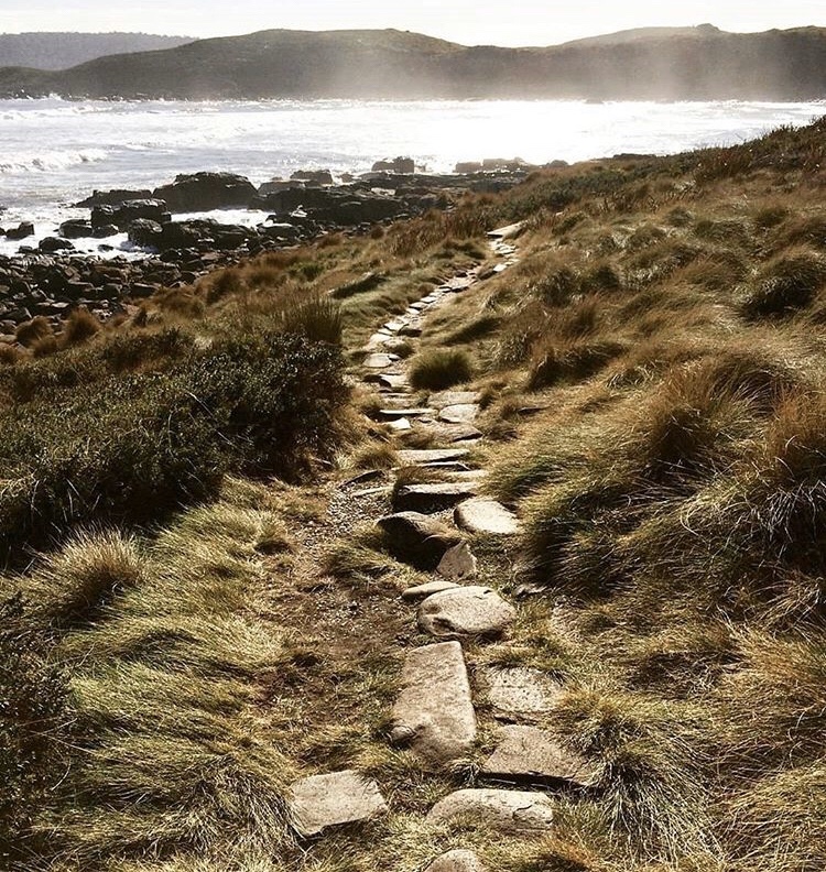 Bruny Island discovery tour