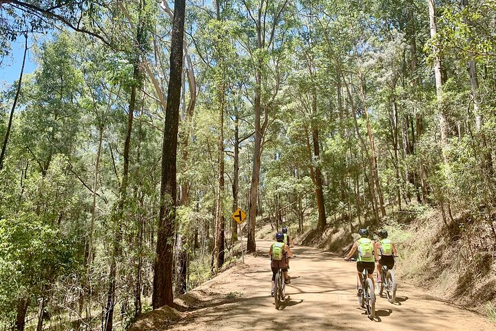 Self Guided E Bike Tour - Hinterland, Rainforest & Waterfalls